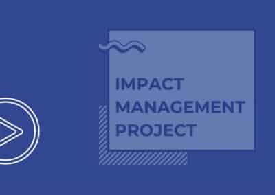 5 Dimensions of an impact management project